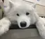 ひろかのプロフィール画像