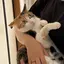 かわののプロフィール画像