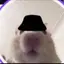 meyのプロフィール画像