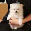 aのプロフィール画像