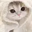 まゆのプロフィール画像