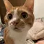 くぬぎのプロフィール画像