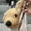 イッヌゥのプロフィール画像