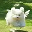 あのプロフィール画像