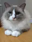 淳奈のプロフィール画像