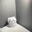 manmaruのプロフィール画像
