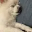 まるのプロフィール画像