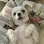りょのプロフィール画像