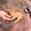 Meのプロフィール画像