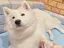 みのプロフィール画像