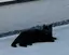 かかのプロフィール画像