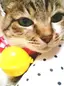 sorairoのプロフィール画像