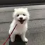たもきんのプロフィール画像