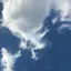 めんどりのプロフィール画像
