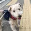 Kahoのプロフィール画像