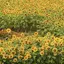 aのプロフィール画像