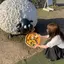 みくのプロフィール画像