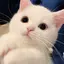 あずのプロフィール画像
