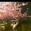 なちょのプロフィール画像
