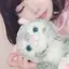 まゆしぃのプロフィール画像