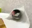 殿のプロフィール画像