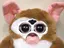 ひとみのプロフィール画像