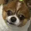 ゆまちんのプロフィール画像