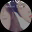 ぽんぽこのプロフィール画像