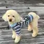 かんのプロフィール画像