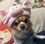 りんくのプロフィール画像