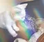 shimaのプロフィール画像