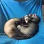 友音のプロフィール画像