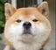 ぴーちこのプロフィール画像