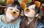 Rinaのプロフィール画像