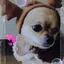 みゆのプロフィール画像
