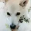 ひかるのプロフィール画像