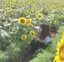 mのプロフィール画像
