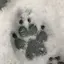なのプロフィール画像