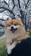 RiKuのプロフィール画像