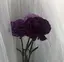 ゆーのプロフィール画像
