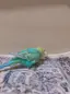 ひかるのプロフィール画像