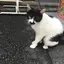 モカのプロフィール画像
