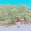 tのプロフィール画像