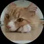 夏季のプロフィール画像