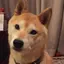 あかりのプロフィール画像
