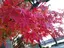 二千花のプロフィール画像