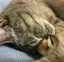 sumieのプロフィール画像