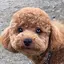 sakiのプロフィール画像