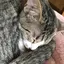まどかのプロフィール画像