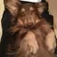 あっちのプロフィール画像